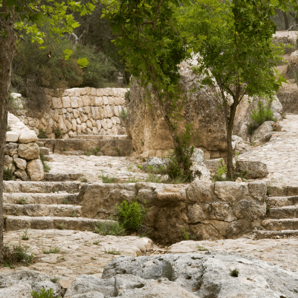 steps in Jerusalem 
kurtbrouwer.com